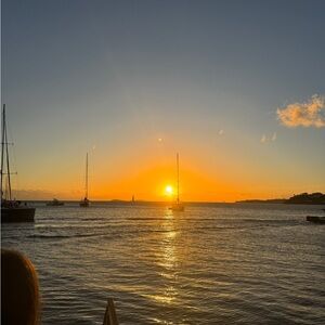 Meet your Posher, Mollie